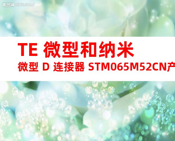 TE 微型和纳米微型 D 连接器 STM065M52CN产品图纸